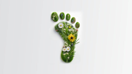 Make Your Choices Green - The Carbon Footprint of Every Case